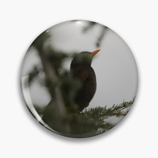 Item preview, A blackbird behind a branch designed and sold by Jonas Petracic.