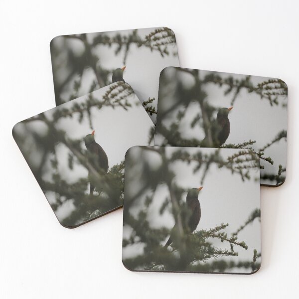 Item preview, A blackbird behind a branch designed and sold by Jonas Petracic.