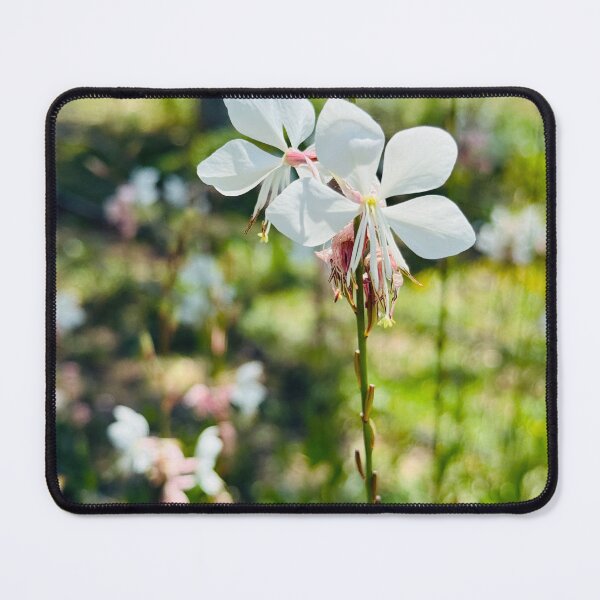 Item preview, White Gaura Whirling Butterflies in Summer Garden designed and sold by BalkanBloom.