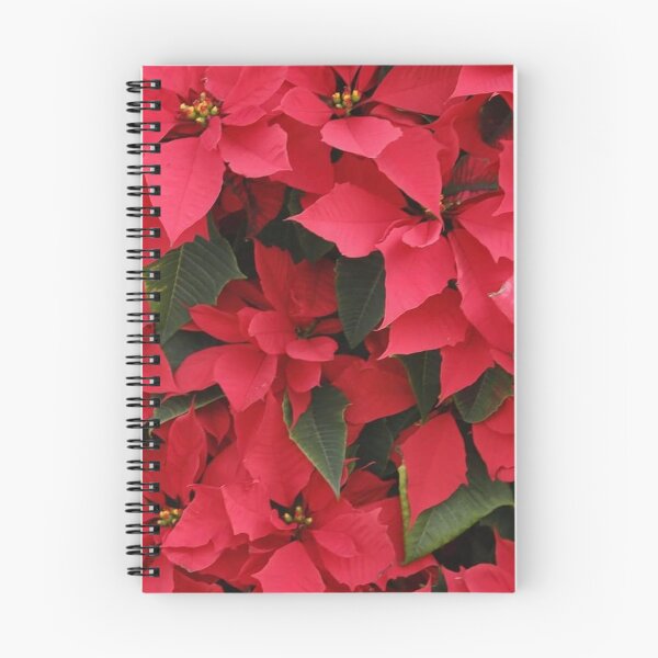 Item preview, Red flowers (Poinsettia) designed and sold by Anthony's  images.