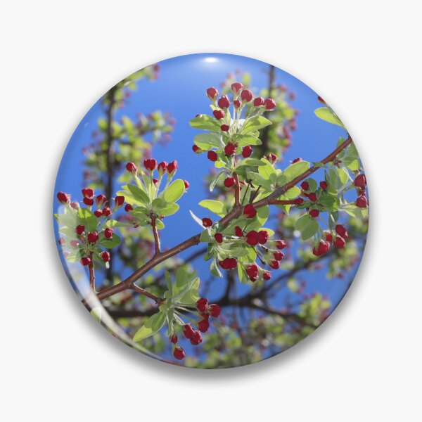 Item preview, Tree in Spring with Red Berries designed and sold by BostonArcImage.