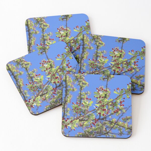 Item preview, Tree in Spring with Red Berries designed and sold by BostonArcImage.