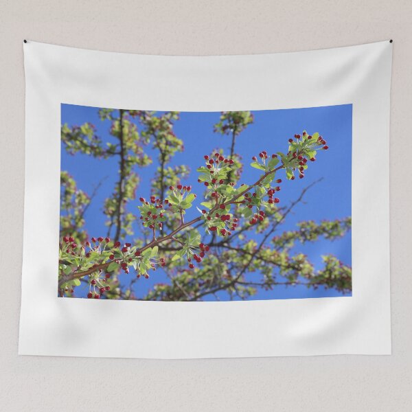 Item preview, Tree in Spring with Red Berries designed and sold by BostonArcImage.