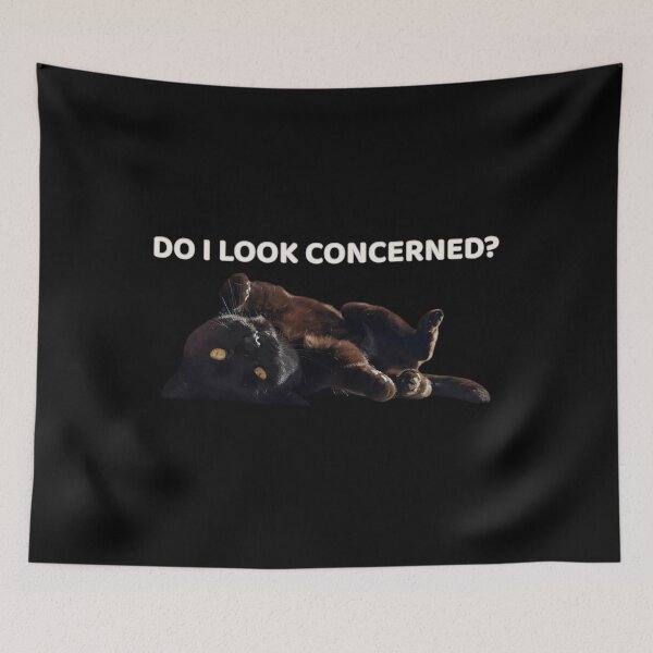 Item preview, Do I Look Concerned? – Sarcastic Black Cat Meme Design designed and sold by MB-CatPrints.