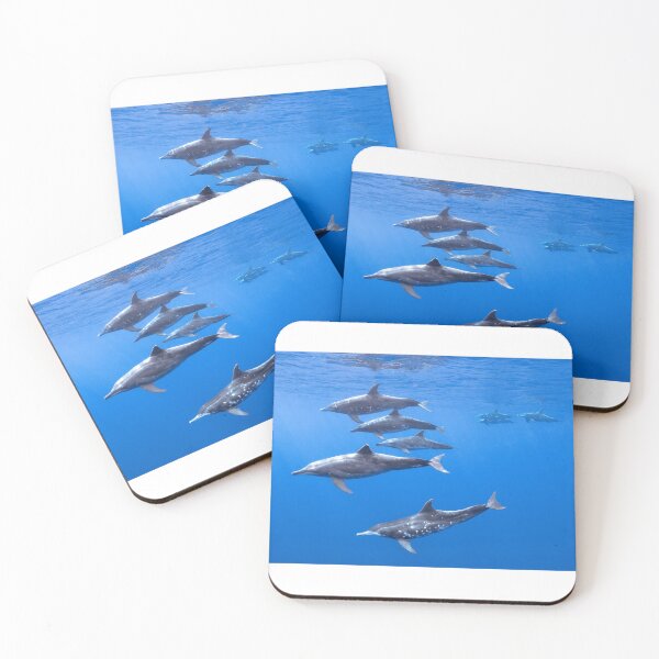 Item preview, Atlantic Spotted Dolphins Pod – Vibrant Underwater Marine Life Photography designed and sold by PygmyTitan Photo.