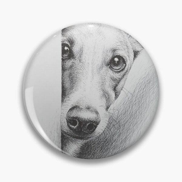 Item preview, Curious sighthound Peeking poster designed and sold by lautir.
