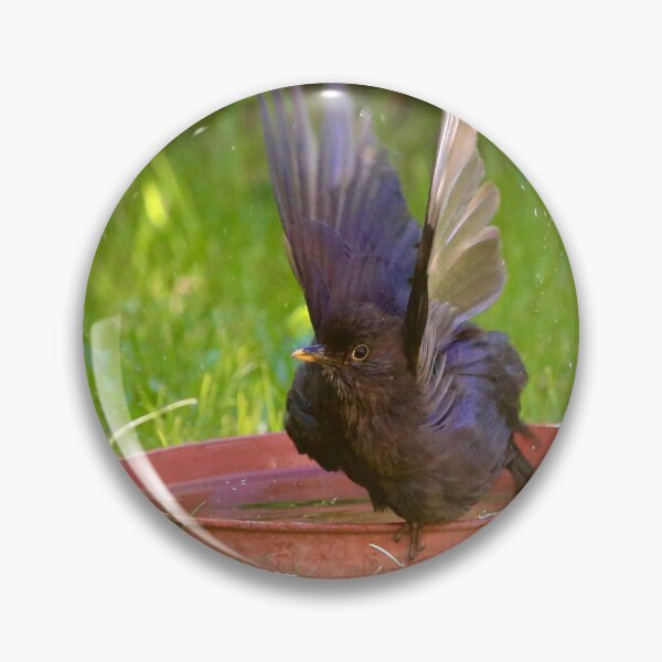 Item preview, Blackbird Fly baby fly  designed and sold by Ribster13.