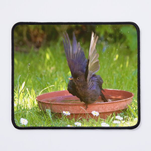 Item preview, Blackbird Fly baby fly  designed and sold by Ribster13.