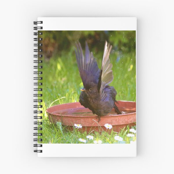 Item preview, Blackbird Fly baby fly  designed and sold by Ribster13.