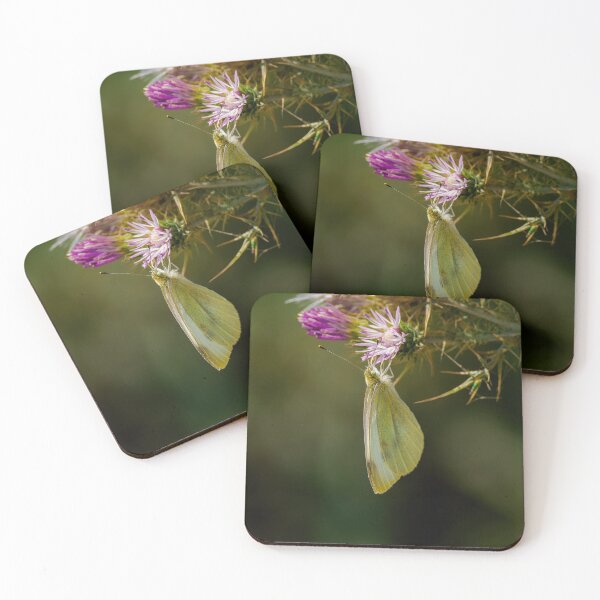 Item preview, Small White Butterfly On Thistle 1 designed and sold by Ralph Goldsmith.
