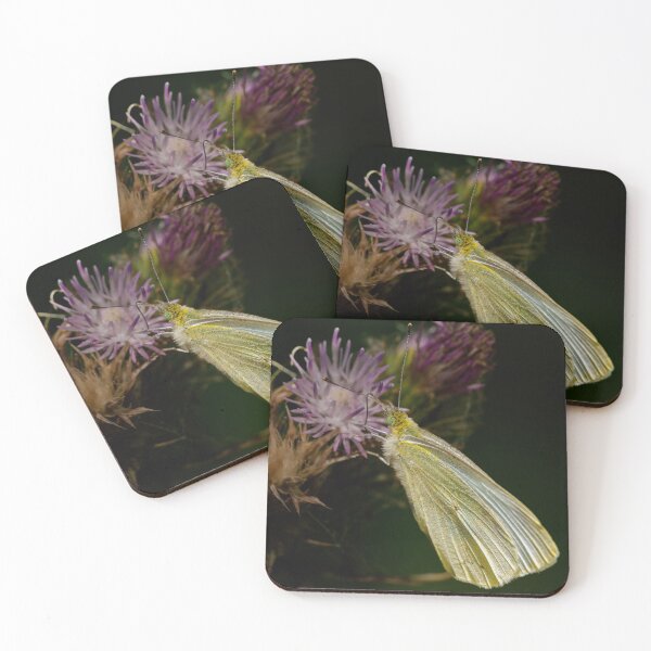 Item preview, Small White Butterfly On Thistle 2 designed and sold by Ralph Goldsmith.