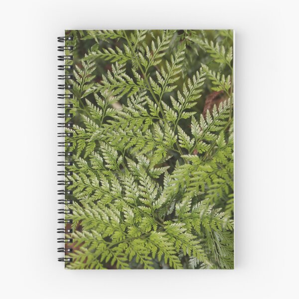 Item preview, Fern leaves designed and sold by Anthony's  images.