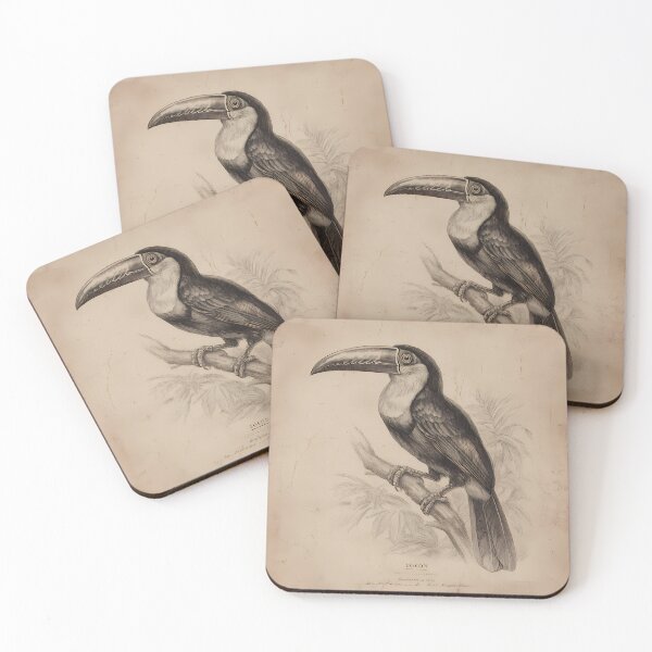 Item preview, Tucano Toco — Gravura Botânica Vintage | Atlantic Forest designed and sold by AtlanticForest.