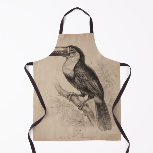Item preview, Tucano Toco — Gravura Botânica Vintage | Atlantic Forest designed and sold by AtlanticForest.