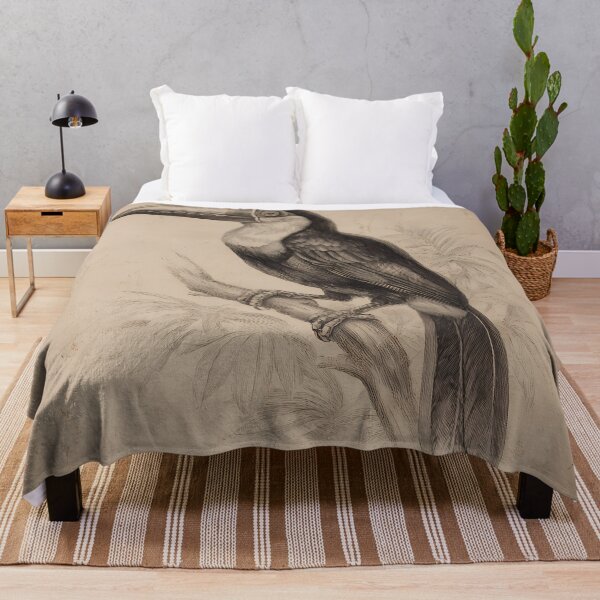 Item preview, Tucano Toco — Gravura Botânica Vintage | Atlantic Forest designed and sold by AtlanticForest.