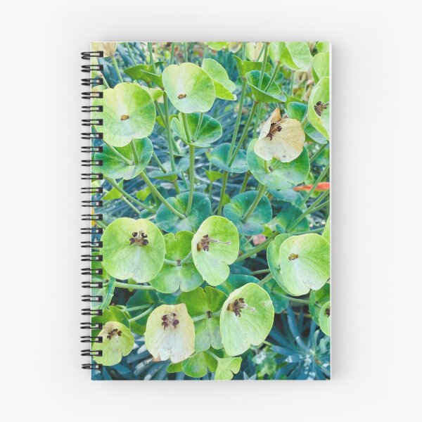 Item preview, Vibrant Green Mediterranean Spurge Blooms designed and sold by BalkanBloom.