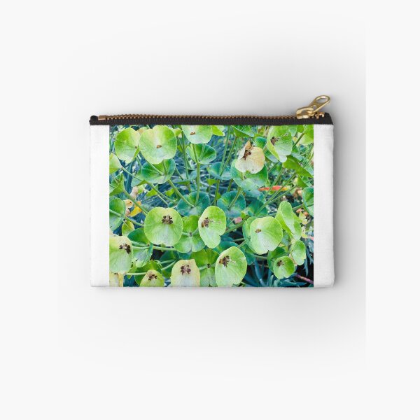 Item preview, Vibrant Green Mediterranean Spurge Blooms designed and sold by BalkanBloom.