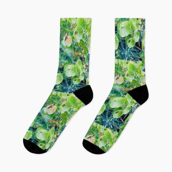 Item preview, Vibrant Green Mediterranean Spurge Blooms designed and sold by BalkanBloom.