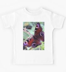 Photo macro shot butterfly peacock butterfly Kids Tee