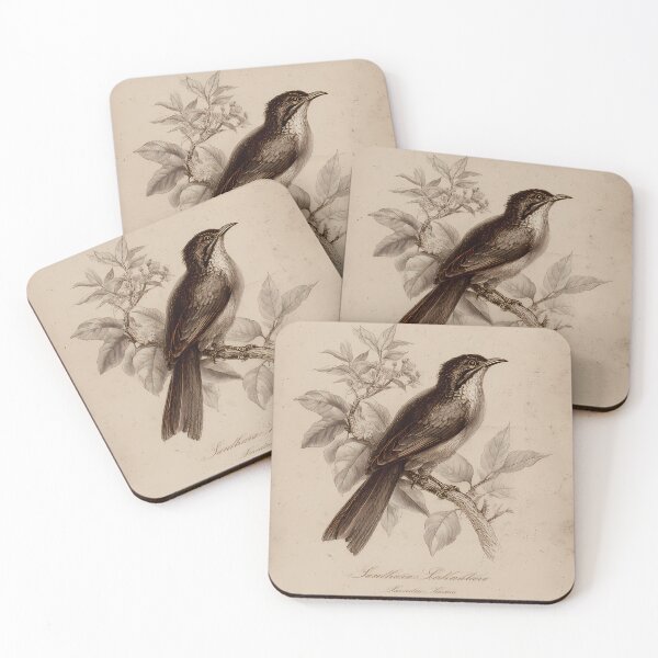 Item preview, Sanhaço-Cinzento — Gravura Botânica Vintage | Atlantic Forest designed and sold by AtlanticForest.