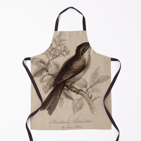 Item preview, Sanhaço-Cinzento — Gravura Botânica Vintage | Atlantic Forest designed and sold by AtlanticForest.