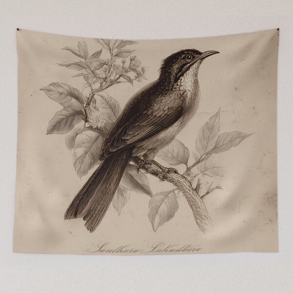 Item preview, Sanhaço-Cinzento — Gravura Botânica Vintage | Atlantic Forest designed and sold by AtlanticForest.