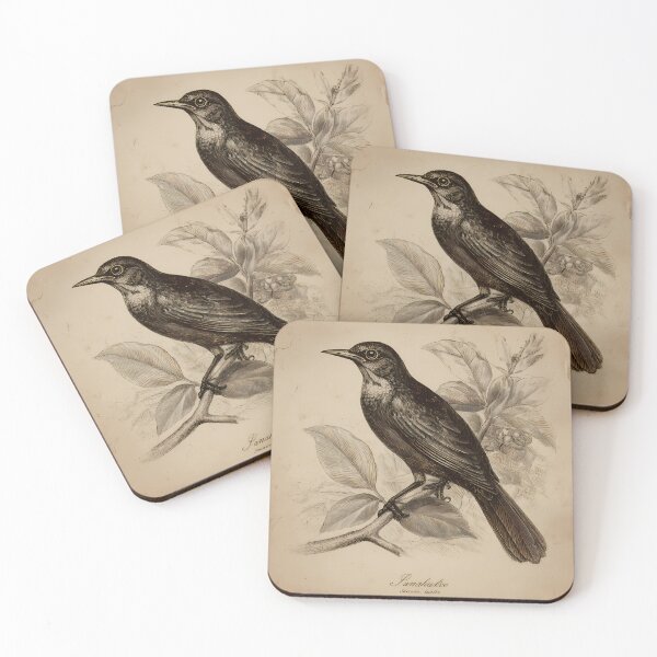Item preview, Sanhaço-Cinzento — Ilustração Científica Vintage | Atlantic Forest designed and sold by AtlanticForest.