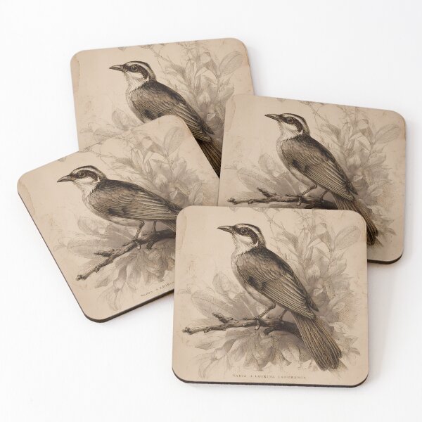Item preview, Sabiá-Laranjeira — Gravura Botânica Vintage | Atlantic Forest designed and sold by AtlanticForest.