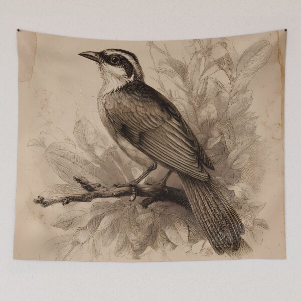 Item preview, Sabiá-Laranjeira — Gravura Botânica Vintage | Atlantic Forest designed and sold by AtlanticForest.