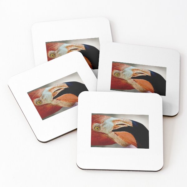 Item preview, Let's Flamingle designed and sold by SNAP HAPPY.
