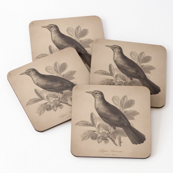 Item preview, Sabiá-Laranjeira — Ilustração Científica Vintage | Atlantic Forest designed and sold by AtlanticForest.