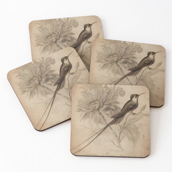 Item preview, Beija-Flor-Tesoura — Ilustração Científica Vintage | Atlantic Forest designed and sold by AtlanticForest.
