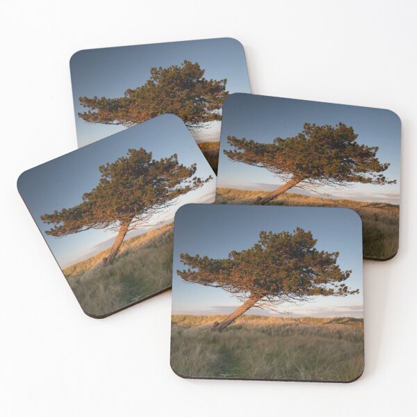 Item preview, the leaning tree designed and sold by codaimages.