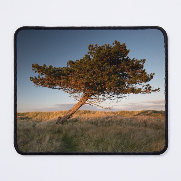 Item preview, the leaning tree designed and sold by codaimages.