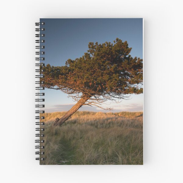 Item preview, the leaning tree designed and sold by codaimages.