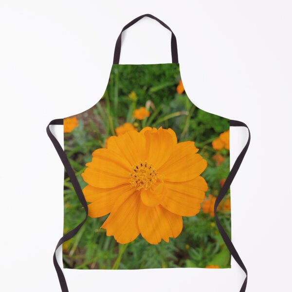 Item preview, Cosmos flower designed and sold by Anthony's images.