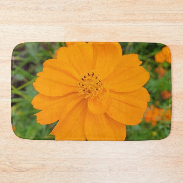 Item preview, Cosmos flower designed and sold by Anthony's  images.