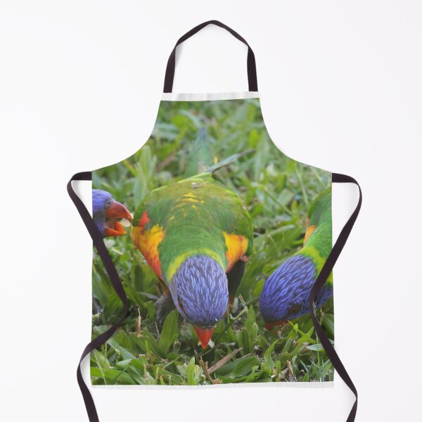 Item preview, Birds (Rainbow Lorikeets) designed and sold by Anthony's images.