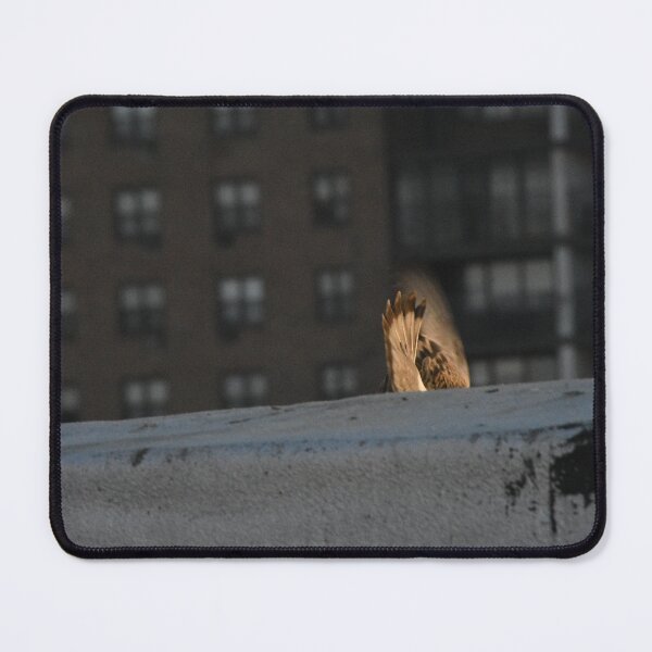 Item preview, bird diving off a roof designed and sold by JaysUrbanLense.