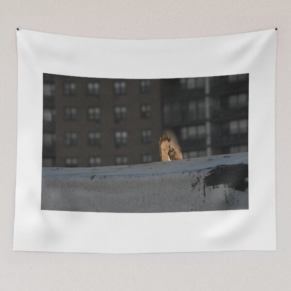 Item preview, bird diving off a roof designed and sold by JaysUrbanLense.