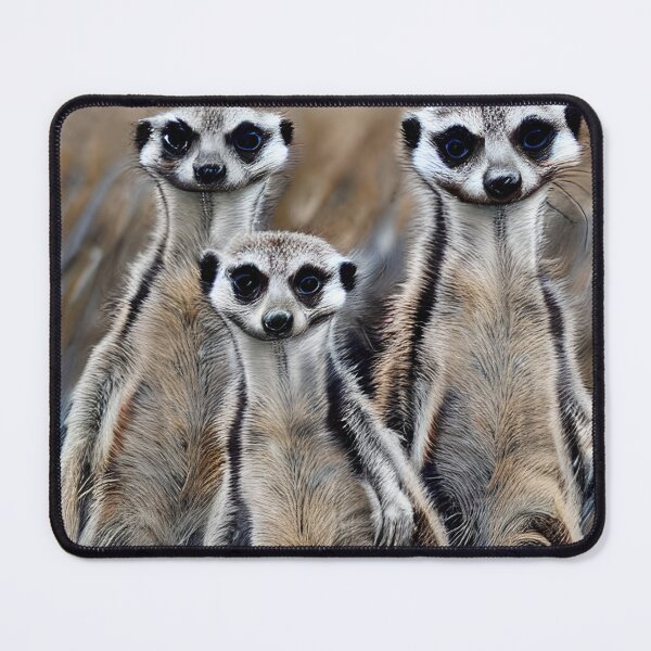 Item preview, Curious Trio of Meerkats designed and sold by IZiets.