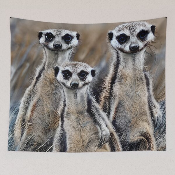 Item preview, Curious Trio of Meerkats designed and sold by IZiets.