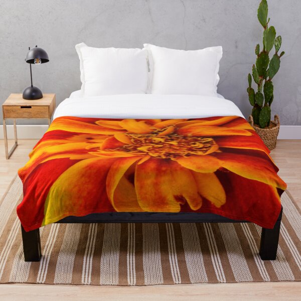 Item preview, flower (Marigold) designed and sold by Anthony's  images.
