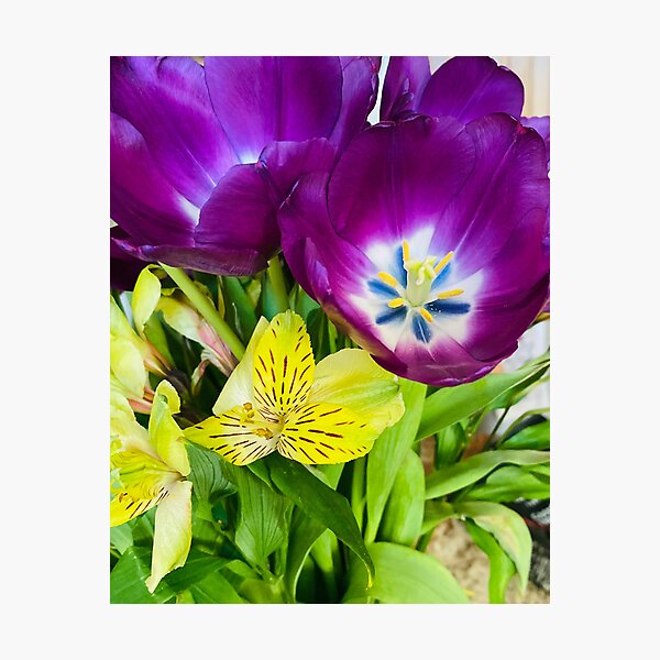 Item preview, Vibrant Purple Tulip and Yellow Alstroemeria Floral Bouquet designed and sold by BalkanBloom.