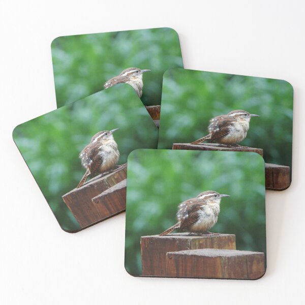 Item preview, Juvenile Carolina Wren designed and sold by gistinker.