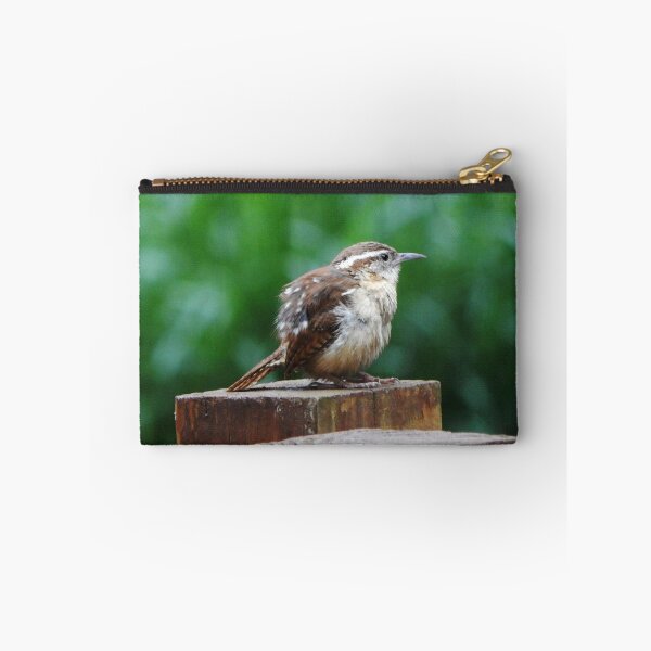 Item preview, Juvenile Carolina Wren designed and sold by gistinker.