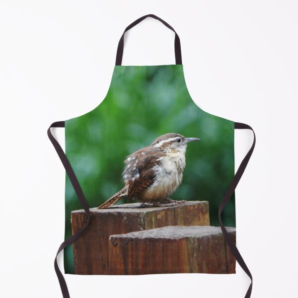 Item preview, Juvenile Carolina Wren designed and sold by gistinker.