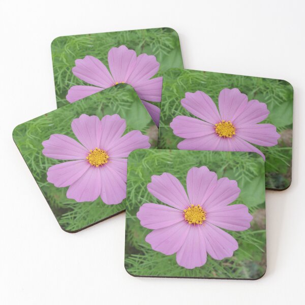 Item preview, flower (cosmos)  designed and sold by Anthony's  images.