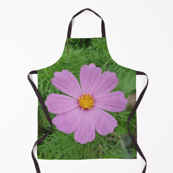 Item preview, flower (cosmos) designed and sold by Anthony's images.