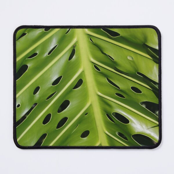 Item preview, Plant Leaf (Philodendron) designed and sold by Anthony's images.